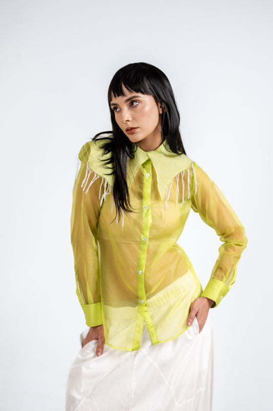 Citrus Collared Sheer Shirt
