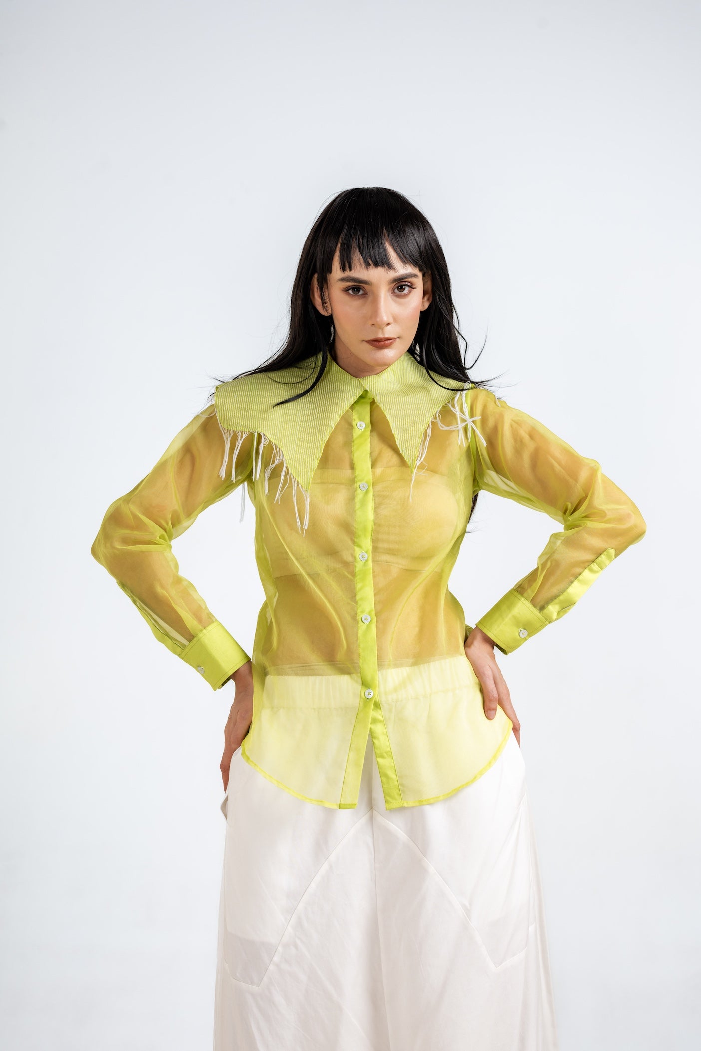 Citrus Sheer Shirt And Fusion Pant Set